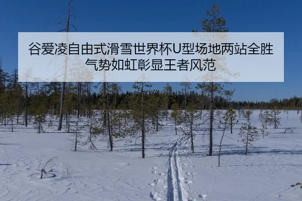 谷爱凌自由式滑雪世界杯U型场地两站全胜 气势如虹彰显王者风范